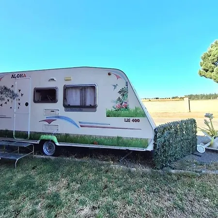 Caravana Oliveres Petita Vilafant